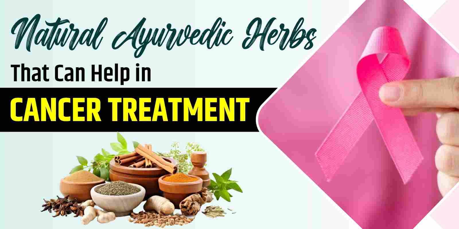 Natural Ayurvedic Herbs That Can Help in Cancer Treatment